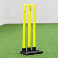 Image result for Stump Cricket