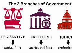 Image result for Three Branches of Government United States