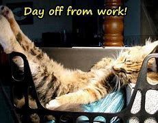 Image result for Extra Day Off Meme