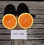 Image result for Cara Cara Orange Tree