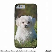 Image result for Jiffom Dog Cases