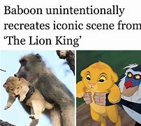 Image result for Lion King Meme Generator