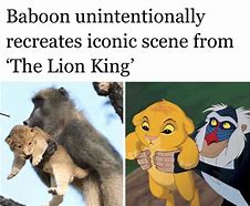 Image result for Lion King Shadowy Place Meme the Bronx