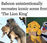 Image result for Lion King Meme Template