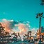 Image result for Miami iPhone Wallpaper
