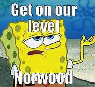 Image result for Norwood Meme