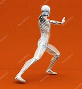 Image result for Martial Arts Anatomy