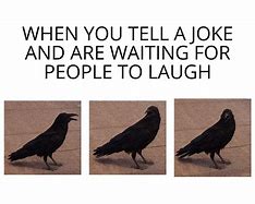 Image result for Crow Memes Funny