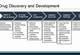 Image result for Drug Discovery Process