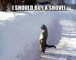 Image result for Snow Funny Cat Memes