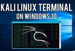 Image result for Kali Linux Terminal