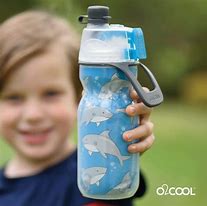 Image result for Popular Water Bottles