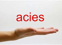 Image result for acicye