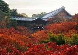 Image result for 東福寺