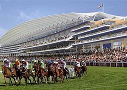 Image result for Ascot Horses