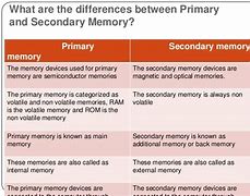 Image result for Best Memory Palace Examples