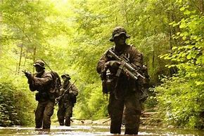 Image result for Special Forces Military Police