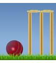 Image result for iPhone SE 2nd Gen Colors Cricket