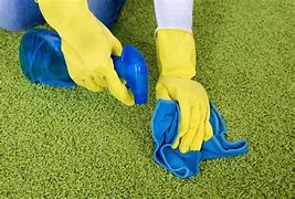 Image result for Eco Friendly Carpet Cleaning