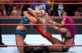 Image result for Catch WWE