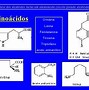 Image result for alcaloidei