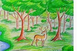 Image result for Ecosystem Drawing Easy