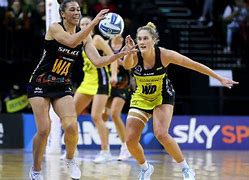 Image result for Netball Fight