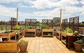Image result for Rooftop Garden Design Ideas