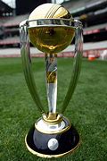 Image result for All Information Cricket World Cup 2015