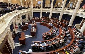 Image result for Idaho ban on gender-affirming care for minors