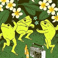 Image result for Indie Frog