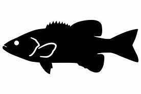 Image result for Bass Fish Silhouette SVG