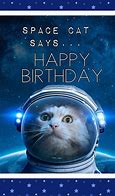 Image result for Cat Happy Birthday Card Graphic Funny