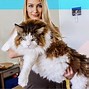 Image result for The World's Biggest Cat the Universe