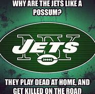 Image result for NFL Jets Meme