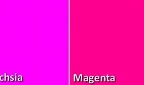 Image result for Rose Fuchsia Couleur