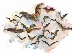 Image result for Bat Swarm Art