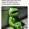 Image result for Broken Heart Meme Kermit