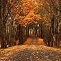 Image result for Fall PC Wallpaper
