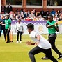 Image result for Cricket for Kids with Whole Ground