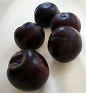 Image result for Her Plums