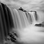 Image result for Black and White Photography Art