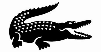 Image result for Lacoste Crocodile