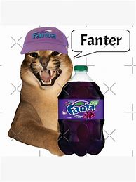 Image result for Fanter Cat Meme