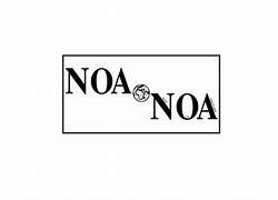 Image result for Noa Mae's