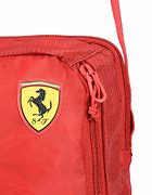 Image result for Ferrari Bag for Car Cover