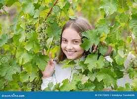 Image result for Little Girl with Grapes