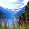 Image result for Colorful Mountain Landscape Lake