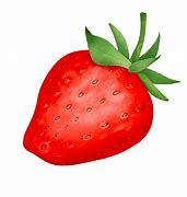 Image result for Strawberry Fruit