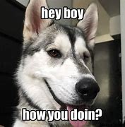 Image result for Excited Husky Meme